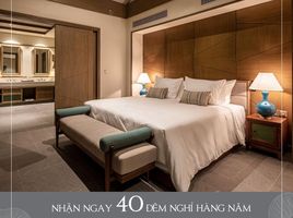 4 Schlafzimmer Haus zu vermieten im Time Hội An, Son Phong