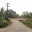  Land for sale in Phuket, Si Sunthon, Thalang, Phuket