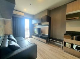 1 Schlafzimmer Wohnung zu verkaufen im Plus Condo Korat, Nai Mueang, Mueang Nakhon Ratchasima, Nakhon Ratchasima
