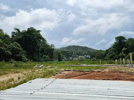 Land for sale in Choeng Thale, Phuket, Choeng Thale, Thalang