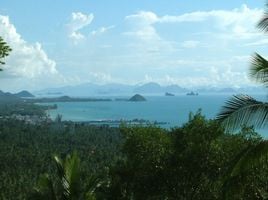  Grundstück zu verkaufen in Koh Samui, Surat Thani, Ang Thong