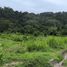  Land for sale in Phuket Paradise Trip ATV adventure, Chalong, Chalong