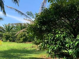  Grundstück zu verkaufen in Takua Pa, Phangnga, Bang Sai