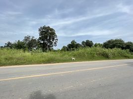  Land for sale in Nakhon Sawan Tok, Mueang Nakhon Sawan, Nakhon Sawan Tok