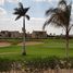 7 Bedroom Villa for sale at Allegria, Sheikh Zayed Compounds