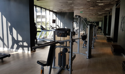 Photos 2 of the Communal Gym at Noble Ploenchit