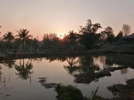  Grundstück zu verkaufen in Nong Ya Plong, Phetchaburi, Yang Nam Klat Tai