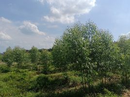  Grundstück zu verkaufen in Si Maha Phot, Prachin Buri, Krok Sombun