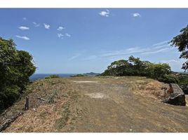  Land for sale in Guanacaste, Carrillo, Guanacaste