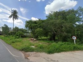  Land for sale in Makham Tia, Mueang Surat Thani, Makham Tia
