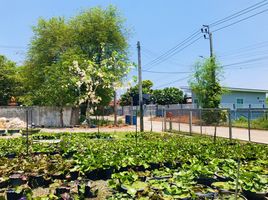  Land for sale in Nonthaburi, Bang Yai, Bang Yai, Nonthaburi