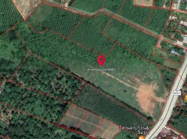  Land for sale in Thalang, Phuket, Pa Khlok, Thalang