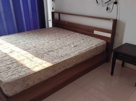 3 Schlafzimmer Reihenhaus zu vermieten in Tha Sala, Mueang Chiang Mai, Tha Sala