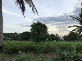  Land for sale in Mueang Lop Buri, Lop Buri, Talung, Mueang Lop Buri