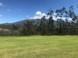  Land for sale in Imbabura, Otavalo, Otavalo, Imbabura