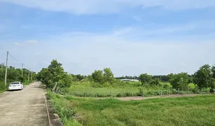 大城 Ban Ko N/A 土地 售 