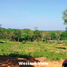  Land for sale in Thalang, Phuket, Mai Khao, Thalang