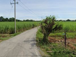  Grundstück zu verkaufen in Nong Ya Sai, Suphan Buri, Nong Ratchawat