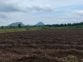  Land for sale in Chom Bueng, Ratchaburi, Pak Chong, Chom Bueng