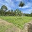  Land for sale in Koh Samui, Maenam, Koh Samui