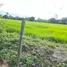  Land for sale in Khlong Yong, Nakhon Pathom, Khlong Yong, Phutthamonthon