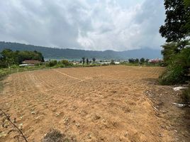  Land for sale in Sukasada, Buleleng, Sukasada