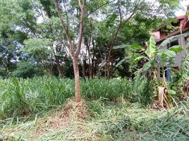  Land for sale in Mueang Nakhon Ratchasima, Nakhon Ratchasima, Nong Chabok, Mueang Nakhon Ratchasima