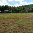  Land for sale in Samoeng, Chiang Mai, Samoeng Nuea, Samoeng