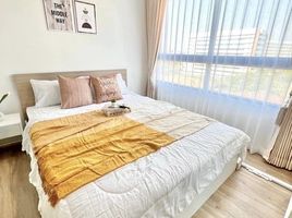 1 Schlafzimmer Appartement zu vermieten im iCondo Activ Phattanakan, Suan Luang, Suan Luang