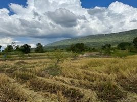  Grundstück zu verkaufen in Phakdi Chumphon, Chaiyaphum, Chao Thong