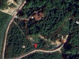  Land for sale in Phuket, Kamala, Kathu, Phuket