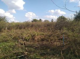  Grundstück zu verkaufen in Nong Ki, Buri Ram, Nong Ki