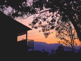  Grundstück zu verkaufen in Mae Rim, Chiang Mai, Don Kaeo, Mae Rim