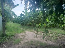  Land for sale in Don Yang, Mueang Phetchaburi, Don Yang