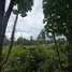  Land for sale in Koh Samui Surat Thani, Bo Phut