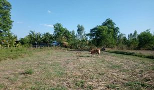 N/A Grundstück zu verkaufen in Kantuat Ramuan, Surin 