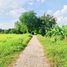  Land for sale in Thailand, Phra Lap, Mueang Khon Kaen, Khon Kaen, Thailand