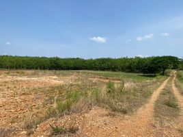  Land for sale in Nakhon Ratchasima, Wang Nam Khiao, Wang Nam Khiao, Nakhon Ratchasima