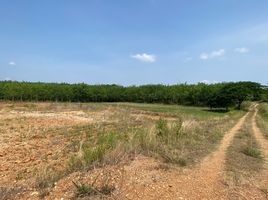  Land for sale in Wang Nam Khiao, Nakhon Ratchasima, Wang Nam Khiao, Wang Nam Khiao