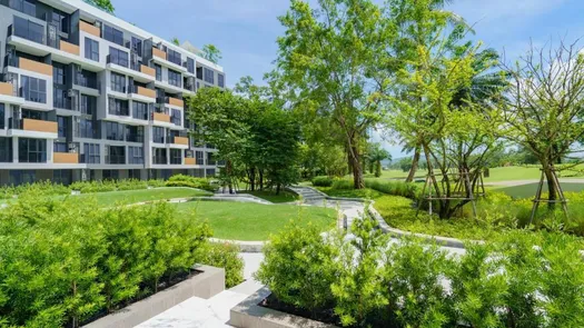 图片 4 of the Communal Garden Area at Sky Park