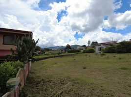  Grundstück zu verkaufen in Palmares, Alajuela, Palmares