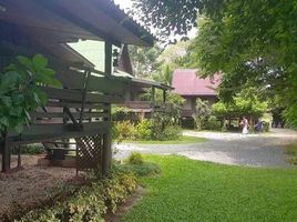 4 Schlafzimmer Villa zu verkaufen in Mae Rim, Chiang Mai, San Pong, Mae Rim