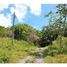  Land for sale in Bay Islands, Jose Santos Guardiola, Bay Islands