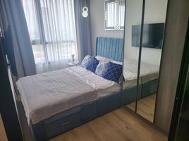 1 Schlafzimmer Appartement zu vermieten im KnightsBridge Prime On Nut, Phra Khanong Nuea