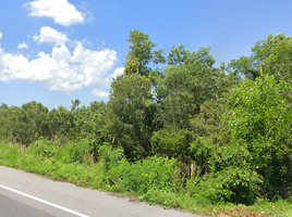  Land for sale in Songkhla, Pak Ro, Singhanakhon, Songkhla