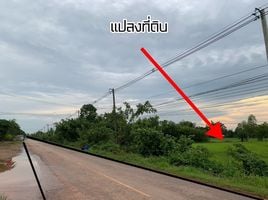  Grundstück zu verkaufen in Sakhrai, Nong Khai, Sakhrai, Sakhrai, Nong Khai