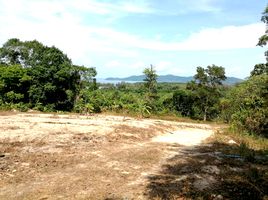  Land for sale in Thalang, Phuket, Thep Krasattri, Thalang