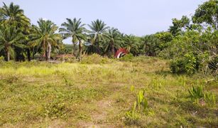 N/A Land for sale in Khao Thong, Krabi 