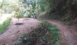 N/A Land for sale in Choeng Thale, Phuket 