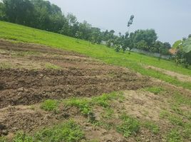  Land for sale in Nam Phrae, Hang Dong, Nam Phrae